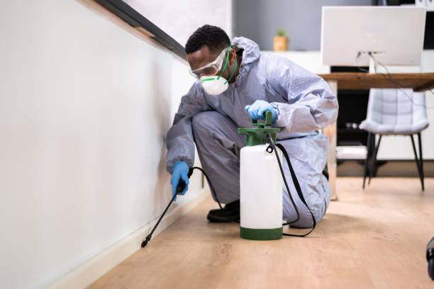 Best Fumigation Services  in Greenwood, PA